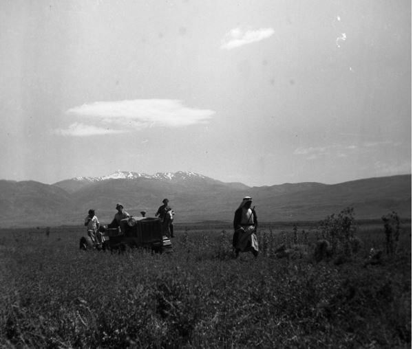 מעבדים את האדמה שעליה יקום קיבוץ כפר בלום סמוך לעלייתו לקרקע ב־1943, אוסף קרן היסוד     (NKH\484450)